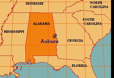 auburn villager|where is auburn alabama located.
